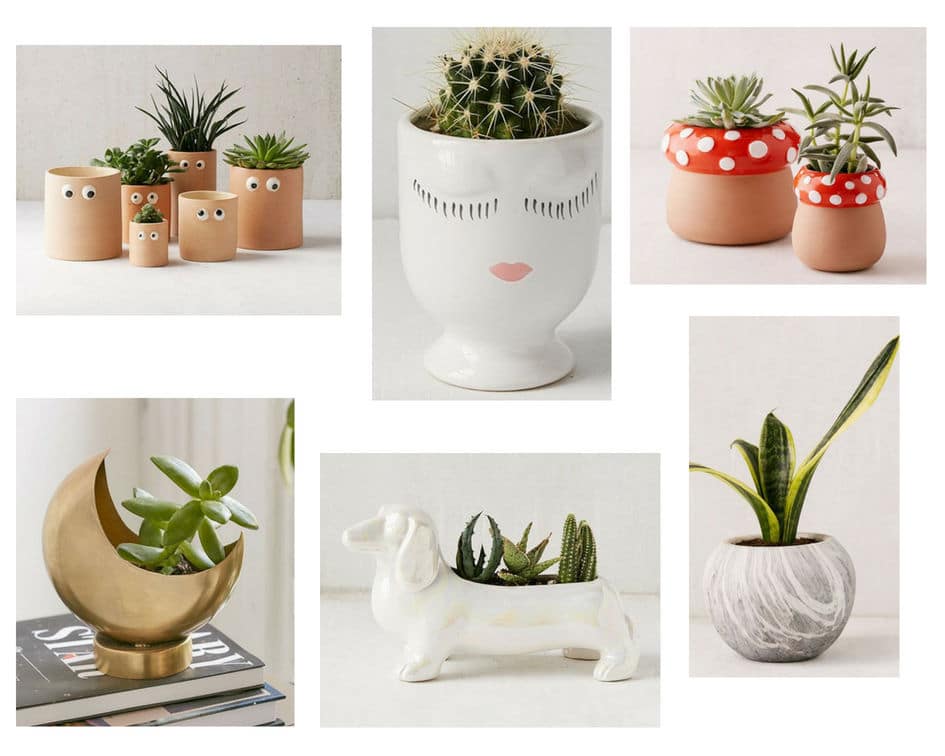 Cute dorm planters in various shapes and price points