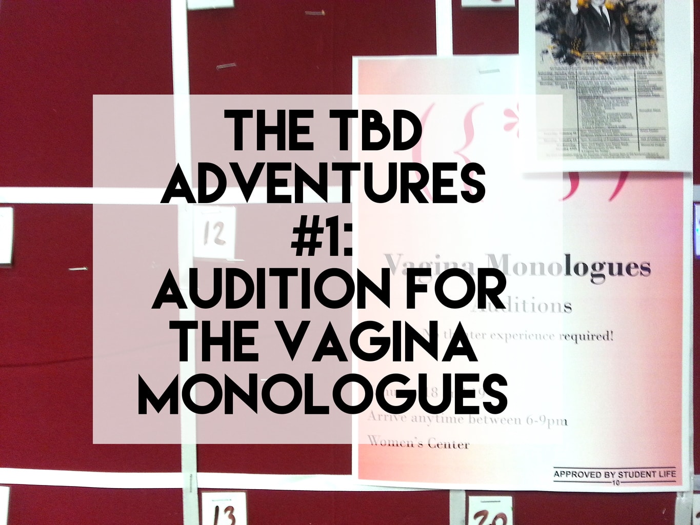 THE TBD ADVENTURES 1 : THE VAGINA MONOLOGUES