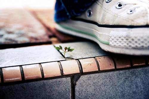 Walking Shoes
