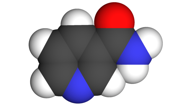 Niacinamide Spacefill Model