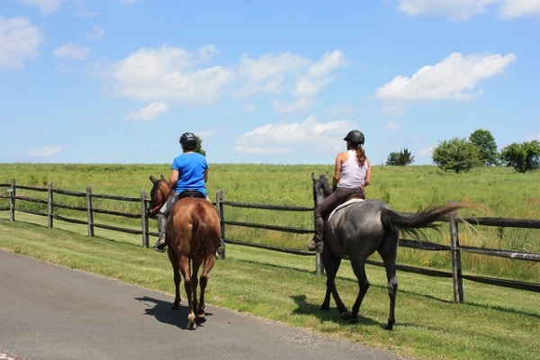 best western riding jeans