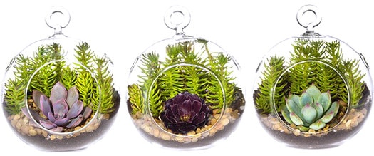 Cute terrariums via Allmodern