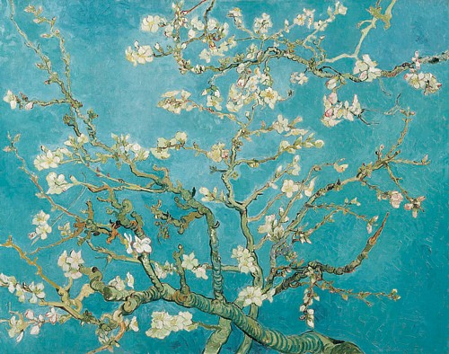 Almond blossoms van gogh