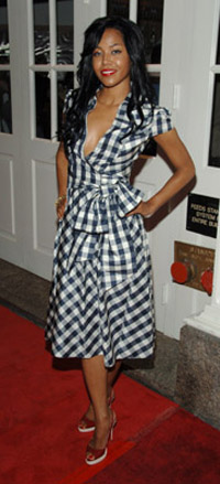 Amerie Diane Von Furstenburg Gingham Dress