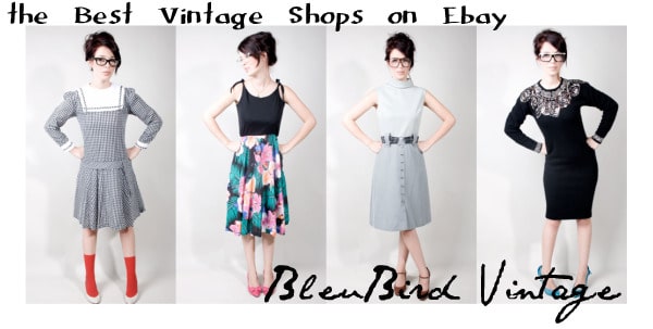 bleubird vintage