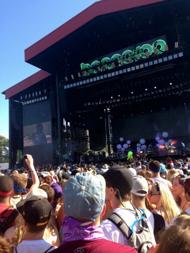 Bonnaroo crowd