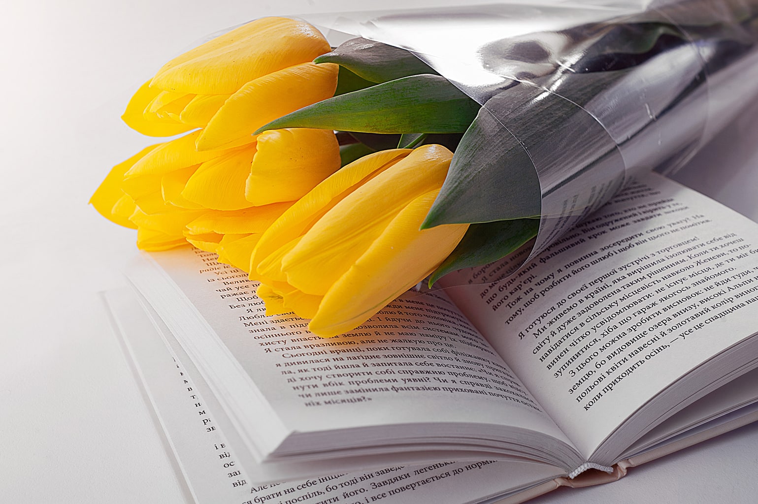 Summer book recommendations for different personality types - picture of book with tulips on top