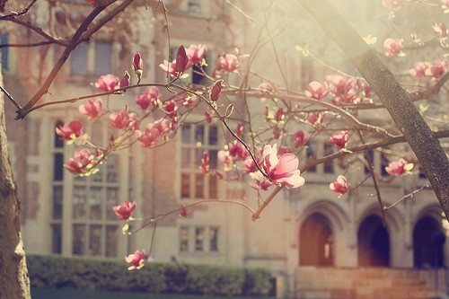 Flower Branch and College