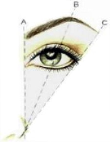 brow diagram