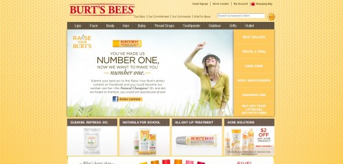 Burts-Bees-website