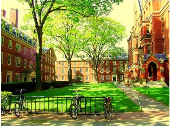 Harvard dorms near Old Harvard