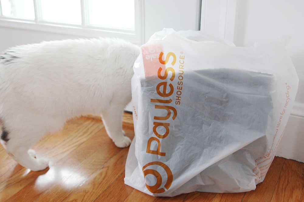 Cat checking out a Payless shopping bag