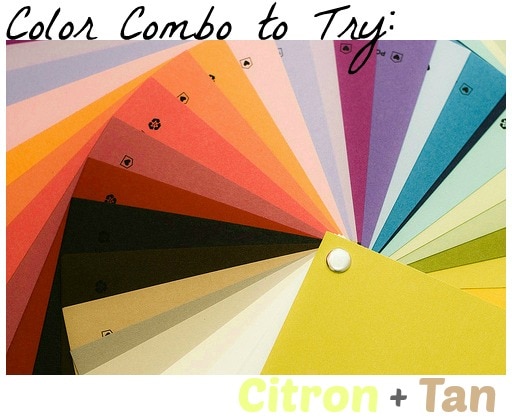 Color combo to try citron and tan