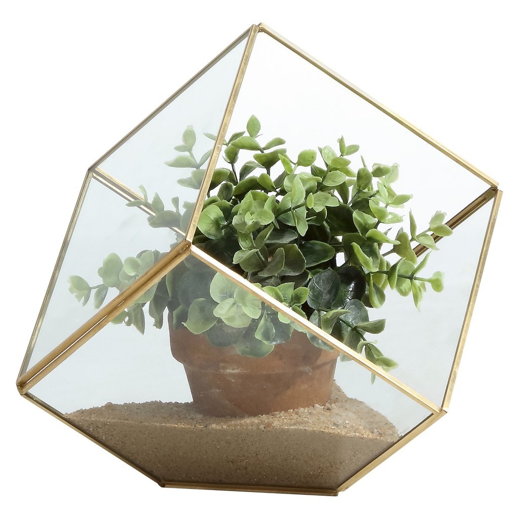 Glass Cube Terranium