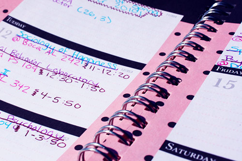 Student's daily planner