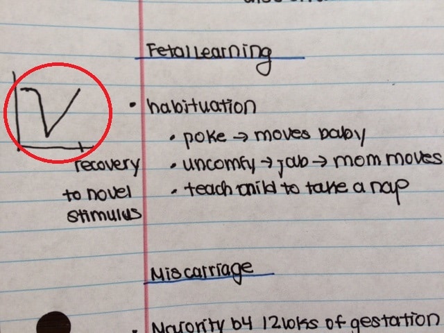 A Comprehensive Guide to Note-Taking in College - College Fashion