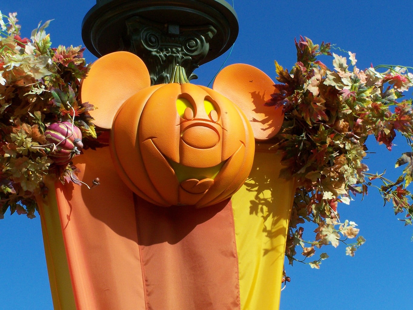 Disney in the fall