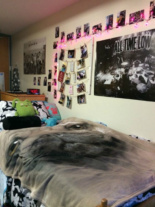 dorm room