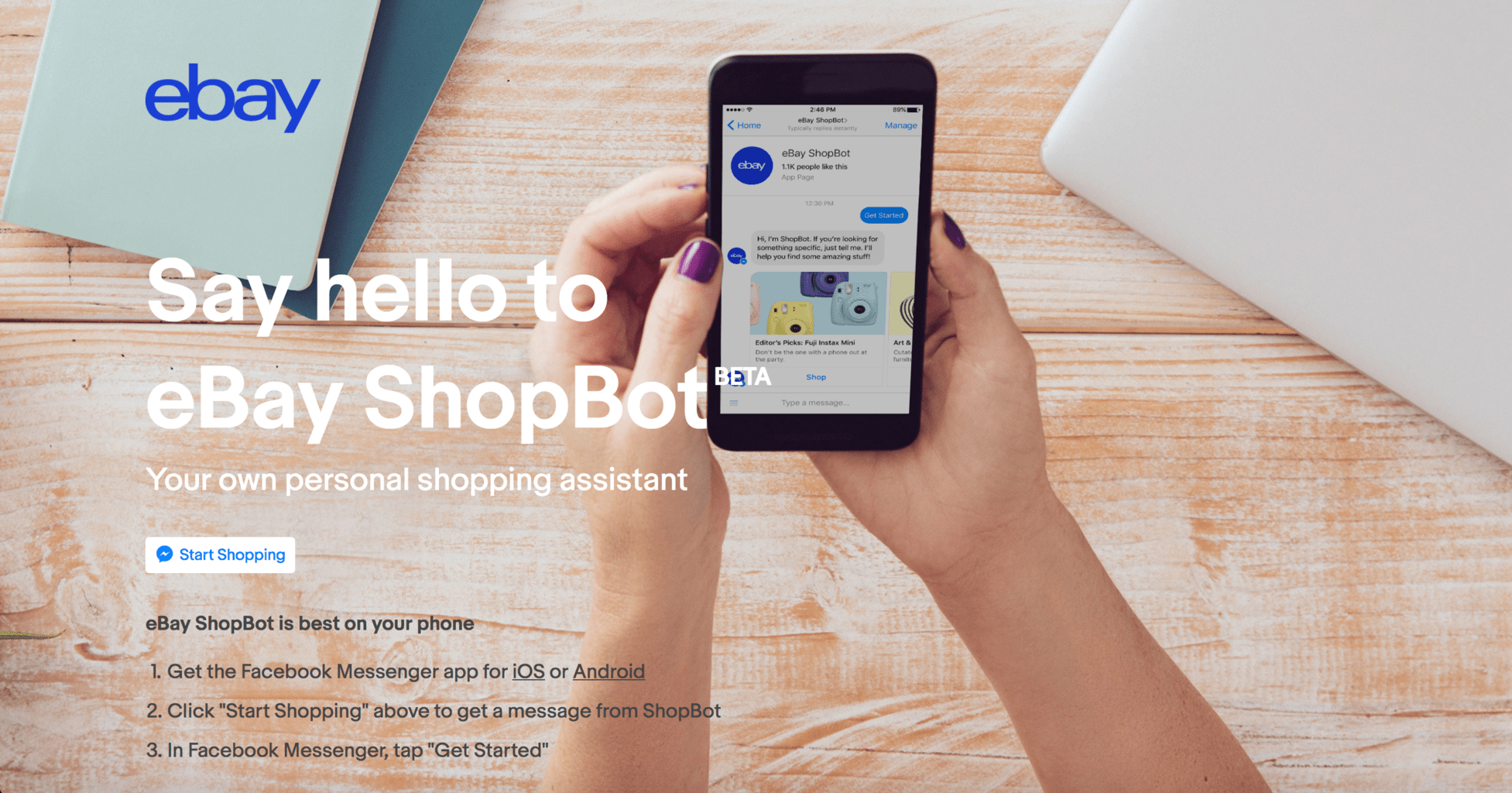 eBay shopbot screenshot