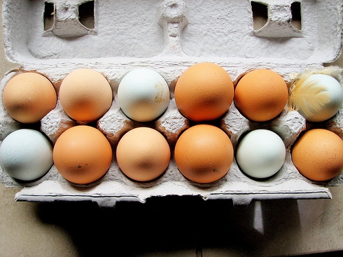 Eggs