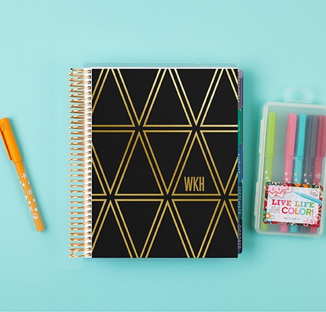 Erin Condren Lifeplanner in gold and black