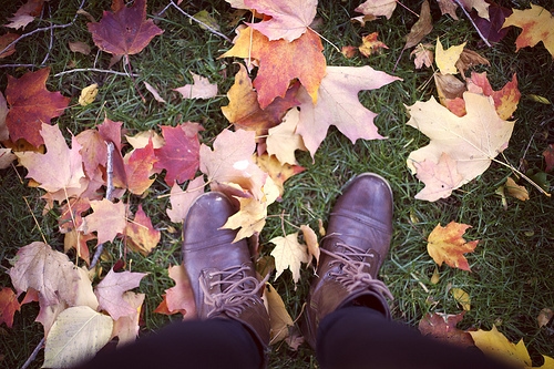 Fall boots