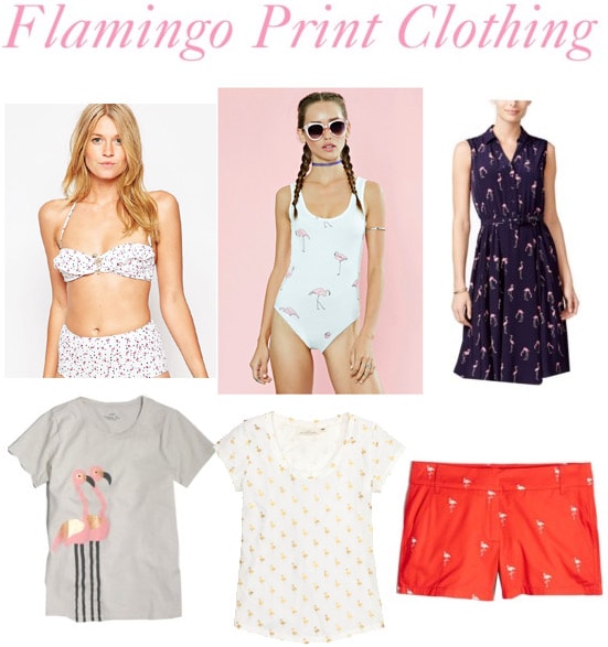 Flamingo print clothing