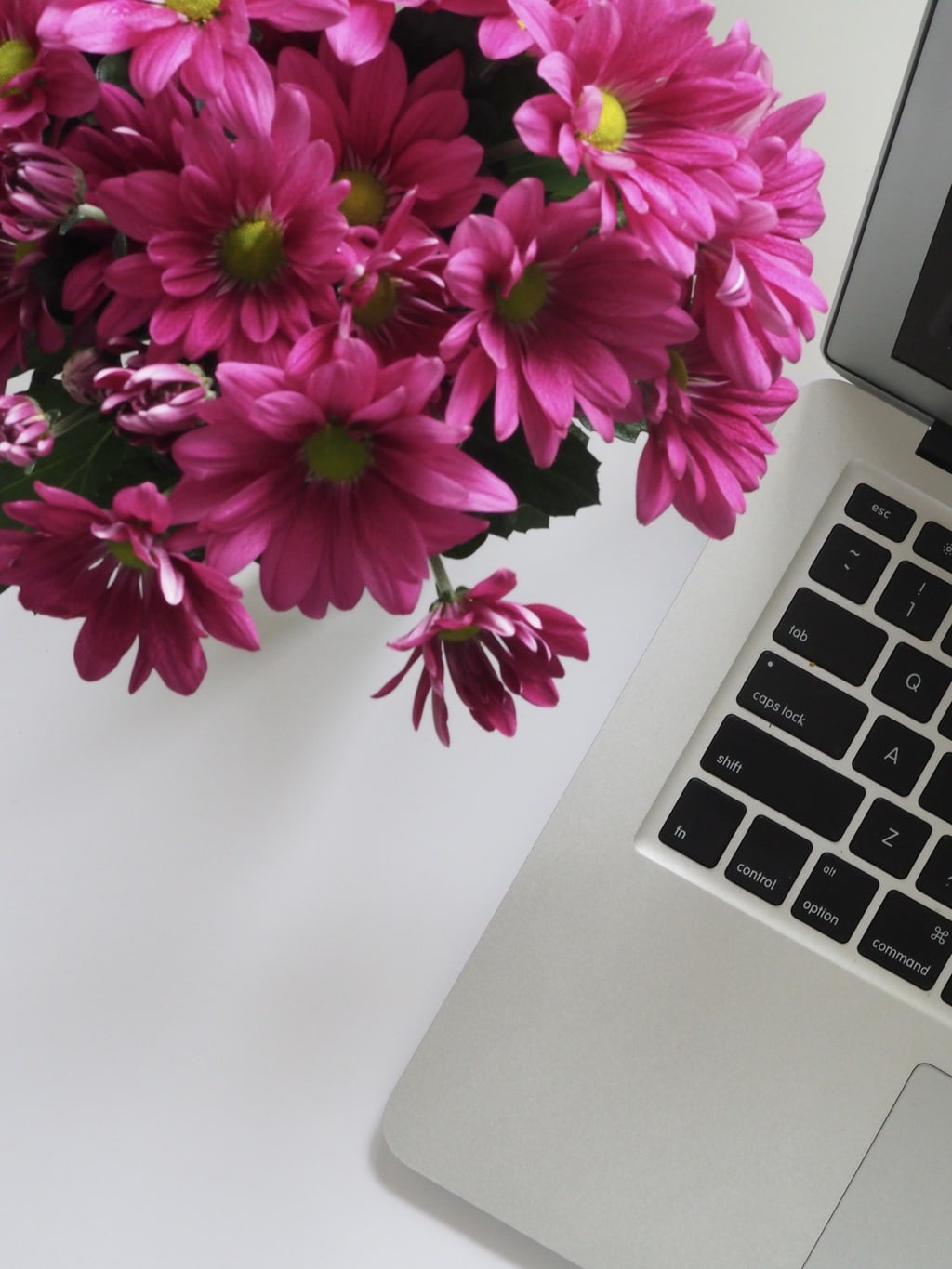 Flowers next to a laptop computer