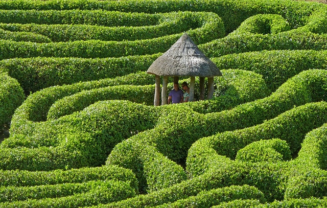 maze