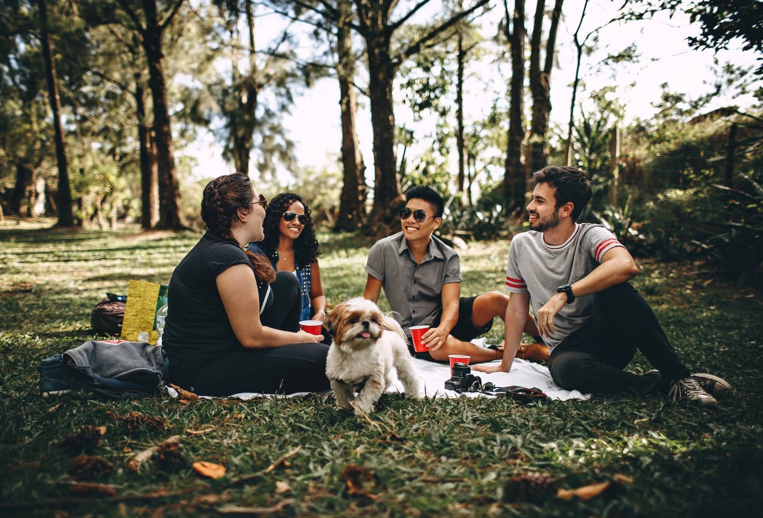 Four friends in the park with a dog eating a picnic