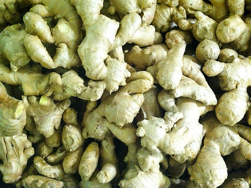 Ginger roots