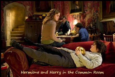 Gryffindor common room Harry Hermione