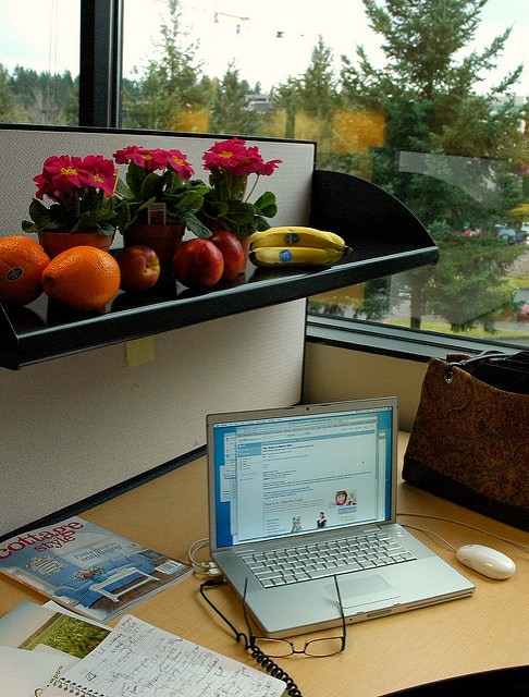 fruit laptop and scenery