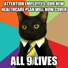 healthcare cat