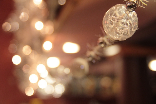 Holiday lights