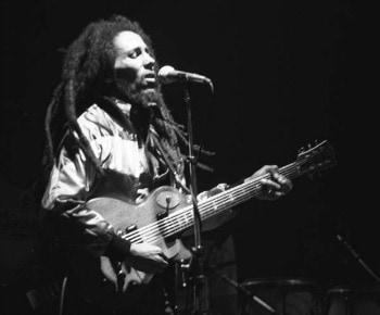 Iconic hair bob marley