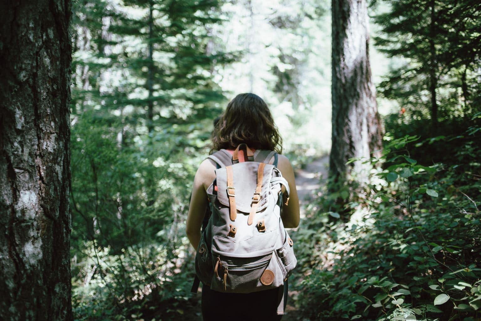 Lady Hiking Through the Forest