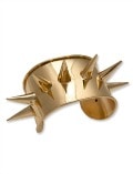 Kesha rose 14