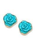Kesha rose 15