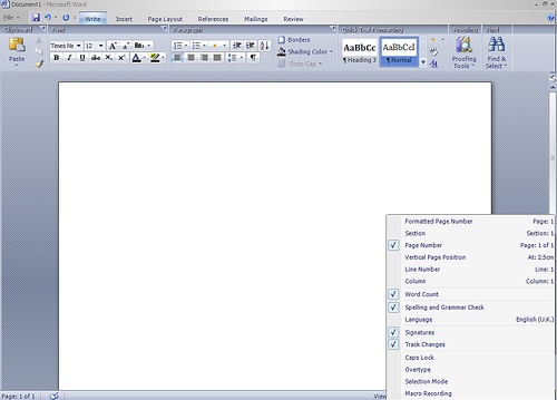 Microsoft word screenshot