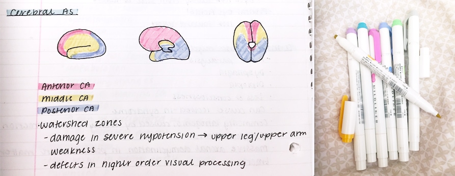 Study Tip for the Day: Use different colored pens when taking notes for  class or while studying. The chang…