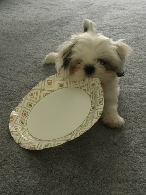 Minnie with a plate