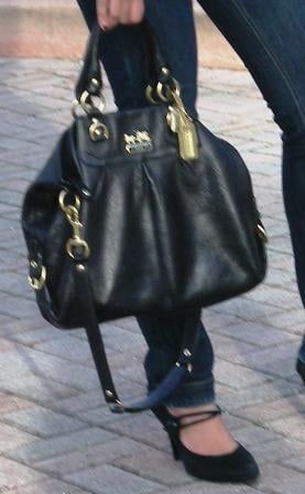 Asha's Coach Purse