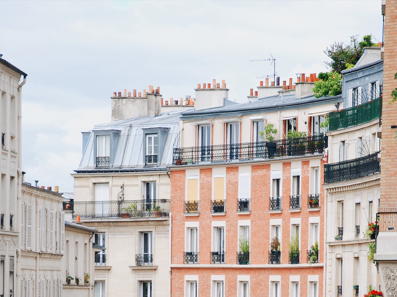 Paris rooftops