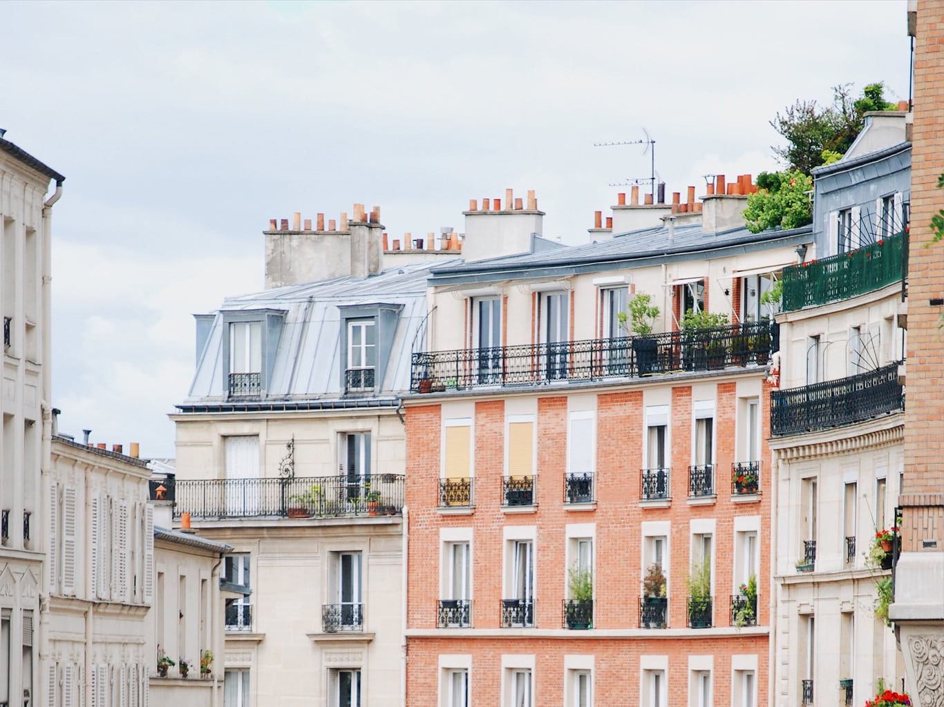 Paris rooftops