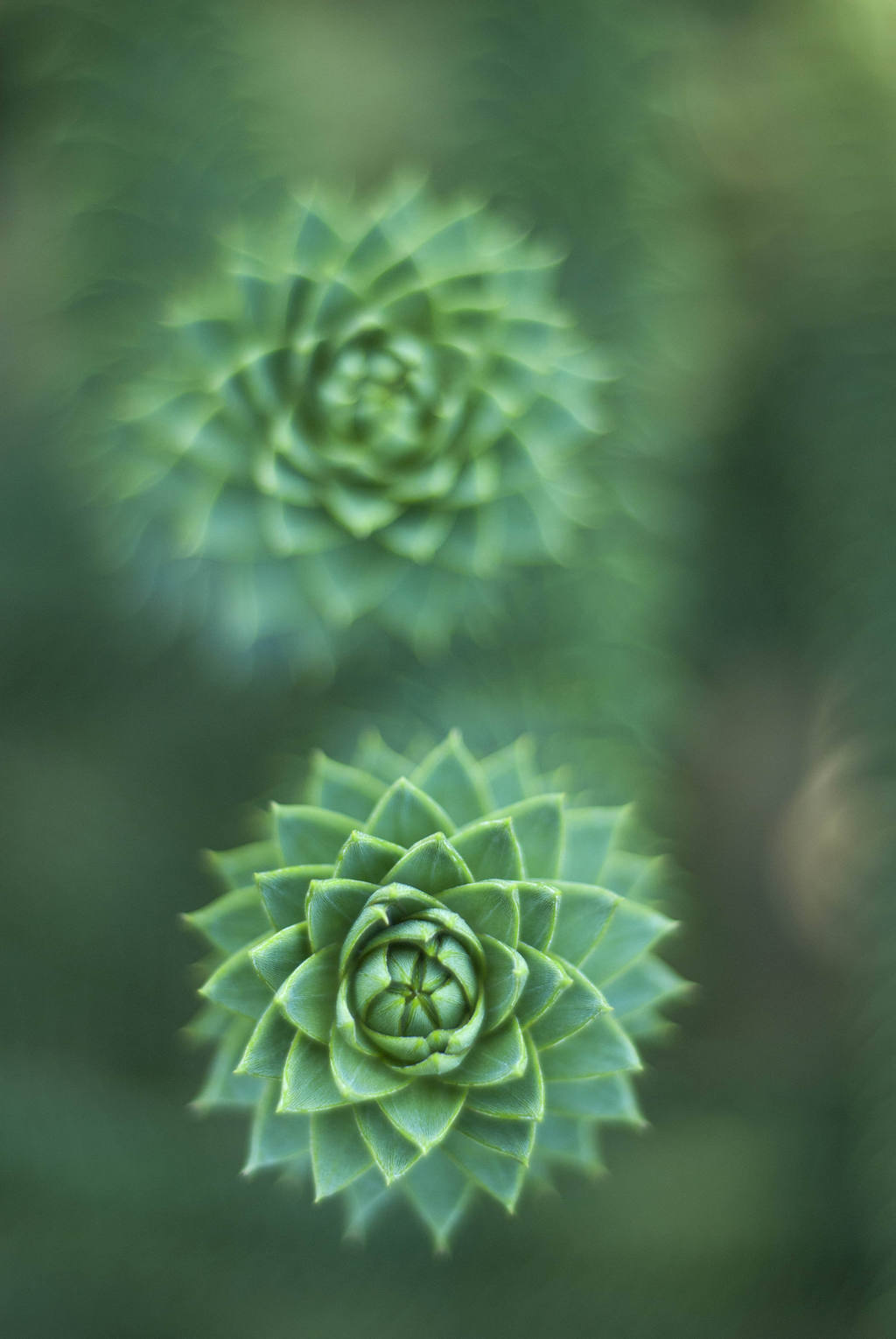 picture-inspired-fashion-green