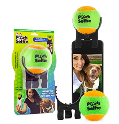 pooch selfie dog selfie stick