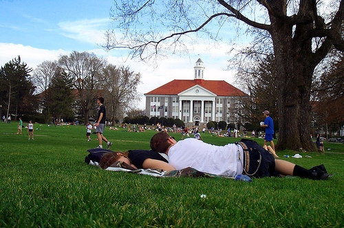 college quad