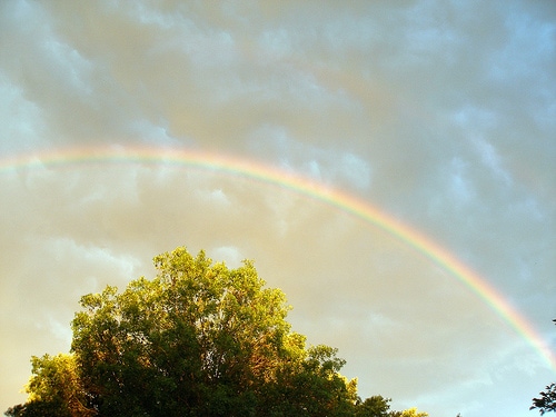 Rainbow