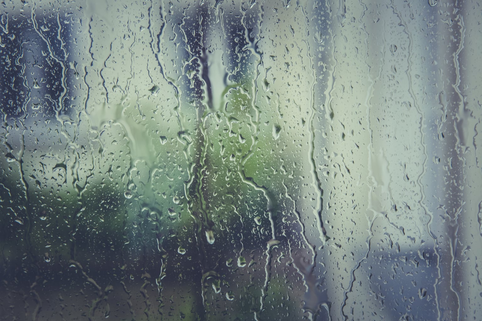 Rainy window